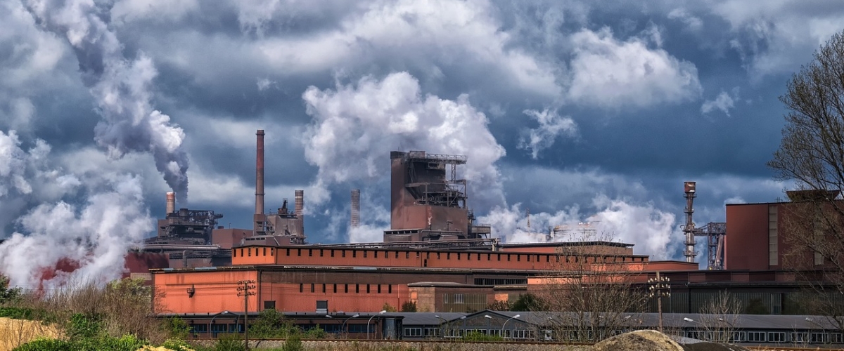 filter bag for biomass boiler